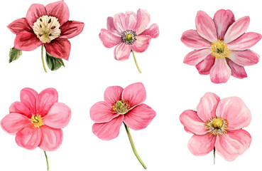 set of flowers isolated