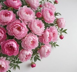 Vibrant pink peonies & roses bouquet  White backdrop  Copy space ,  blossom,  bloom