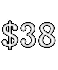 dollar sign on a white background $38