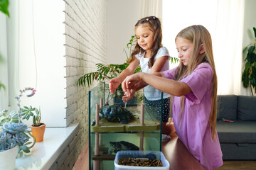 Children caring for a turtle while feeding it worms in a bright living room on a sunny day