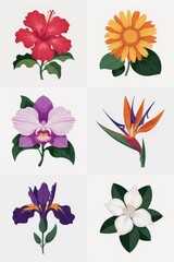Colorful botanical illustration of diverse tropical flowers.