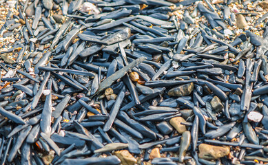 Colorful long, pointed rocks on the beach in the Gulf of Thailand