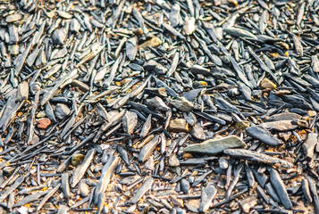 Colorful long, pointed rocks on the beach in the Gulf of Thailand