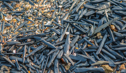 Colorful long, pointed rocks on the beach in the Gulf of Thailand
