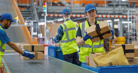 Factory Employees Placing Boxes with Products on an Automated Production Line, Moving Goods to a...