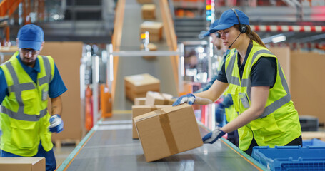 Experienced and Young Employees Sort Packages and Load Boxes on a Conveyor Line. Diverse Portrait...