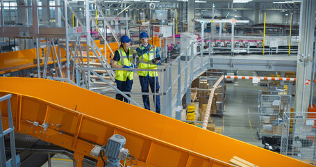 Female and Male Technicians with a Tablet Computer Monitoring Automated Conveyor Belt with Packages in a Logistics Warehouse. Modern Fulfillment Center with Online Retail Orders