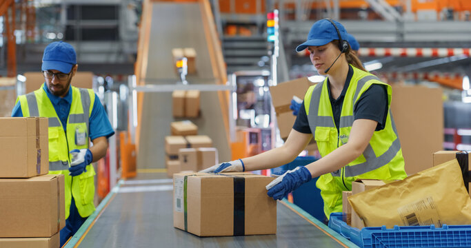 Diverse Workers in Safety Vests Loading Parcels Onto a Conveyor in a Modern Sorting Center Facility. People Working Together as a Team in Logistics and Postal Service Operations