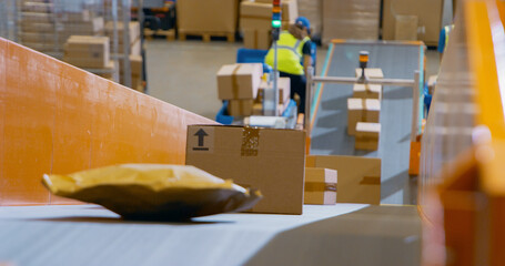 Personnel Carefully Loading Various Boxes on Conveyor Lines in a Mail and Parcel Processing Center....