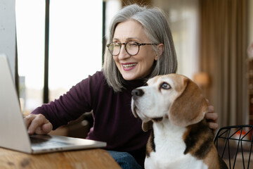 Smiling Senior Woman Using Laptop with Her Beagle at Home