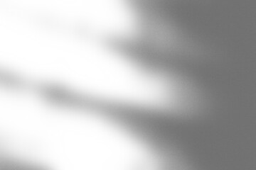 Branding Shadow Overlay