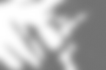 Branding Shadow Overlay