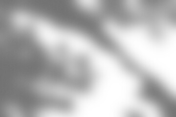 Branding Shadow Overlay