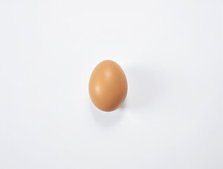 close-up view of a single brown chicken egg against a bright white background