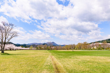 Fototapeta premium 蔵王山麓 七ヶ宿ダム公園 春 