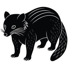 binturong vector