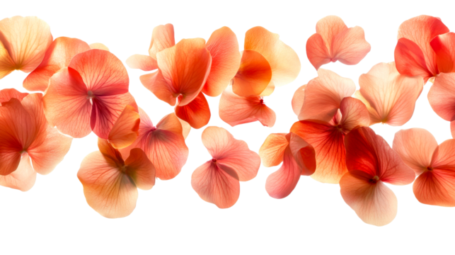 Beauty of delicate flowers arranged in soft hues