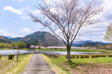 蔵王山麓 七ヶ宿ダム公園　春
