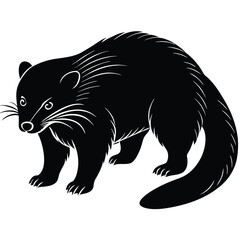 binturong vector