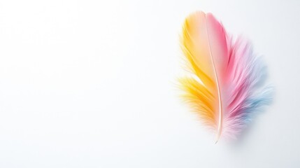 Naklejka premium Single colorful feather, vibrant hues, delicate structure, against a plain backdrop