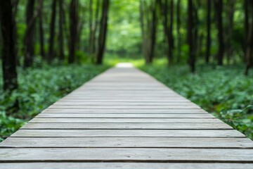 Fototapeta premium Wooden pathway through a lush green forest landscape.
