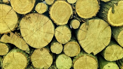 Stack of cut round wooden logs of various sizes. Visible texture of the cross-cuts, annual rings, and bark. Natural wood, light brown tones.