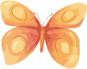 butterfly vector art