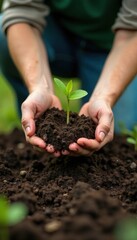 gardener holding seedling on soil with gardening tool , pot, plant