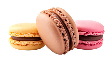 Colorful macarons in various flavors and colors