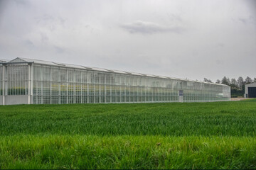 Obraz premium greenhouse with plants