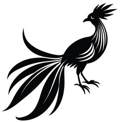 bird of paradise vector