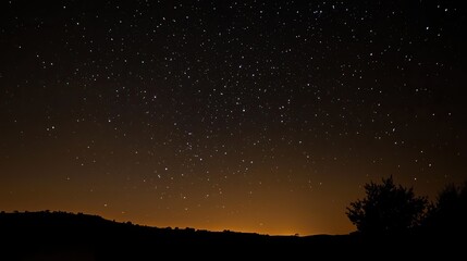 Fototapeta premium Night Sky with Orange Horizon and Starry Landscape
