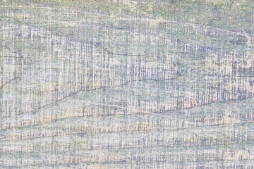 The texture of an aged wooden board.