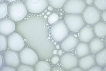 Cosmetic beauty product sample swatch. Cosmetic cream milk texture white colored background