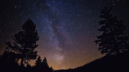 Fototapeta premium Silhouetted Trees Against a Starry Night Sky