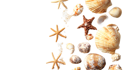 Sandy Beach Theme Background with Sea Shells, Isolated on White
