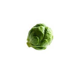 Fototapeta premium cabbage isolated on white background