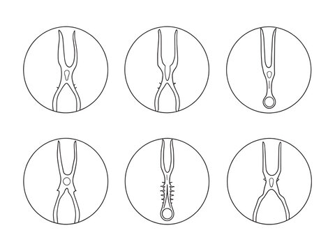 Trephine line art intricate linear drawing