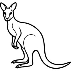 Minimalist Kangaroo Line Art