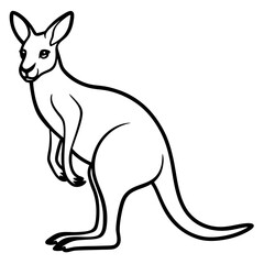 Minimalist Kangaroo Line Art