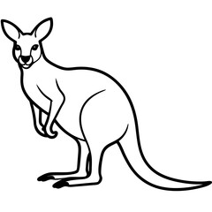 Minimalist Kangaroo Line Art