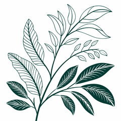 Flat vector Illustration of a foliage plant By
