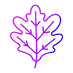 Obraz premium oak leaf line icon