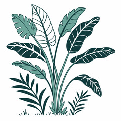 Flat vector Illustration of a foliage plant By