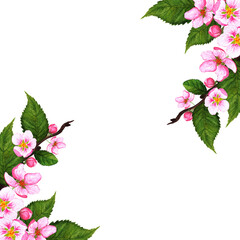 Delicate beautiful illustration with a blossoming apple tree branch. Watercolor illustration design element for decoration of cards, invitations, packaging design. 