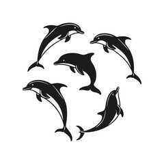 dolphin vector illustration