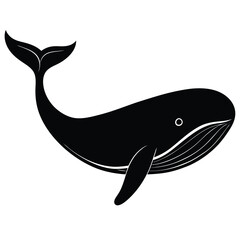 whale vecror sihouette