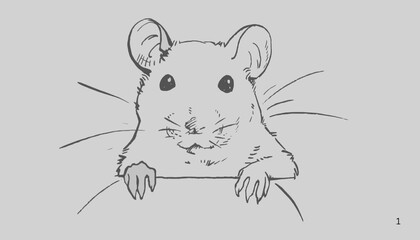 Flat vector illustration in children's style. Animals of the forest. Cute mouse on white background