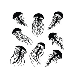 set of jellyfish