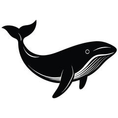 whale vecror sihouette
